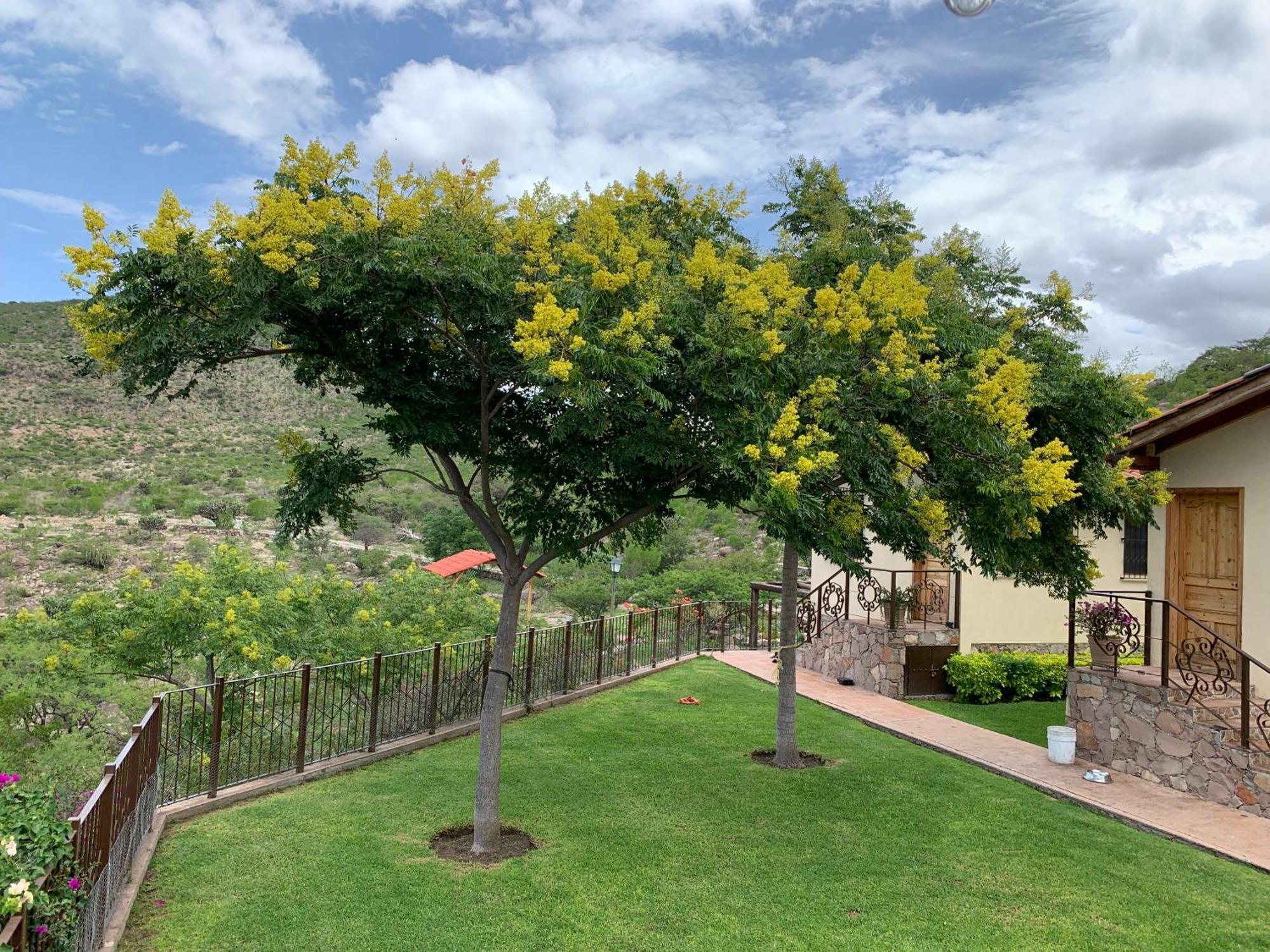 Villa Campestre La Soledad Colon Luaran gambar