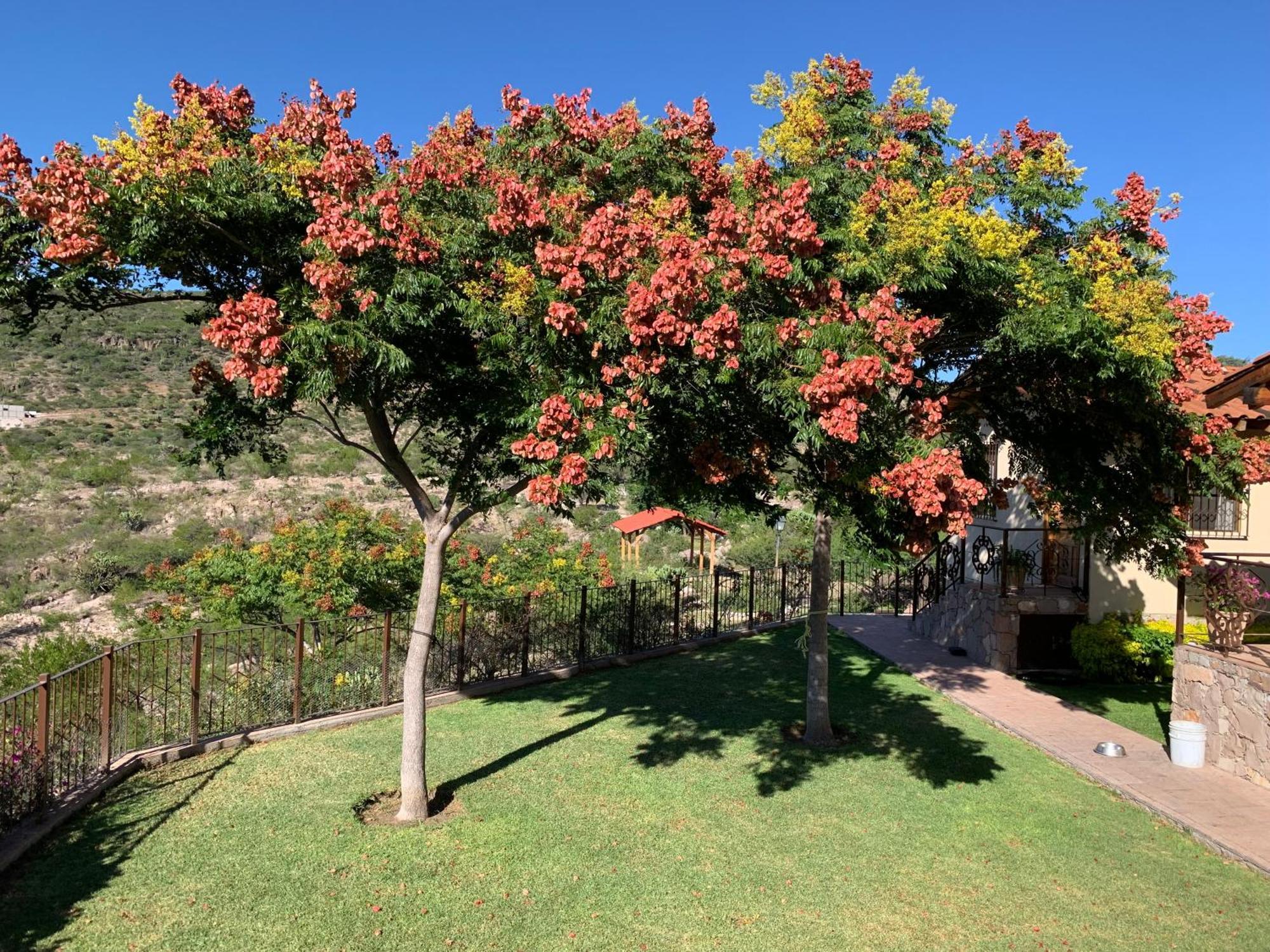 Villa Campestre La Soledad Colon Luaran gambar